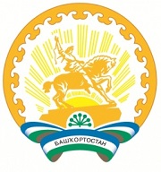 Government of the Republic of Bashkortostan