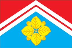 Administration of the Settlement of the Leninsky Sovkhoz Municipal District of the Moscow Region