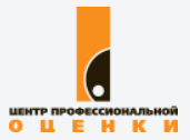 Center of Professional Assessment